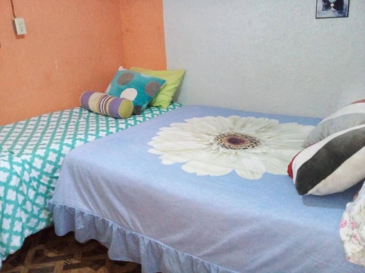 Jardin Huasteca 3*