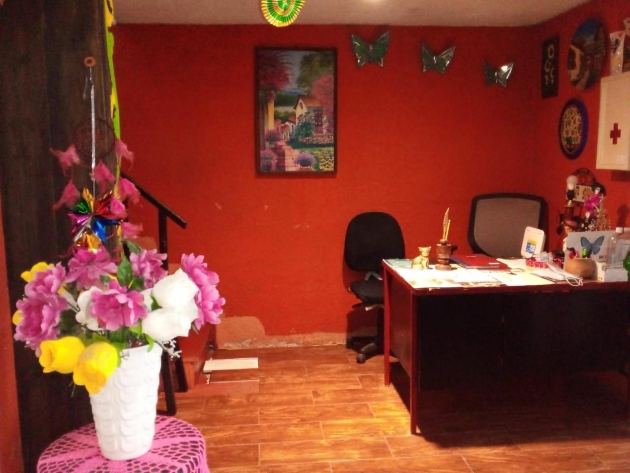 Jardin Huasteca