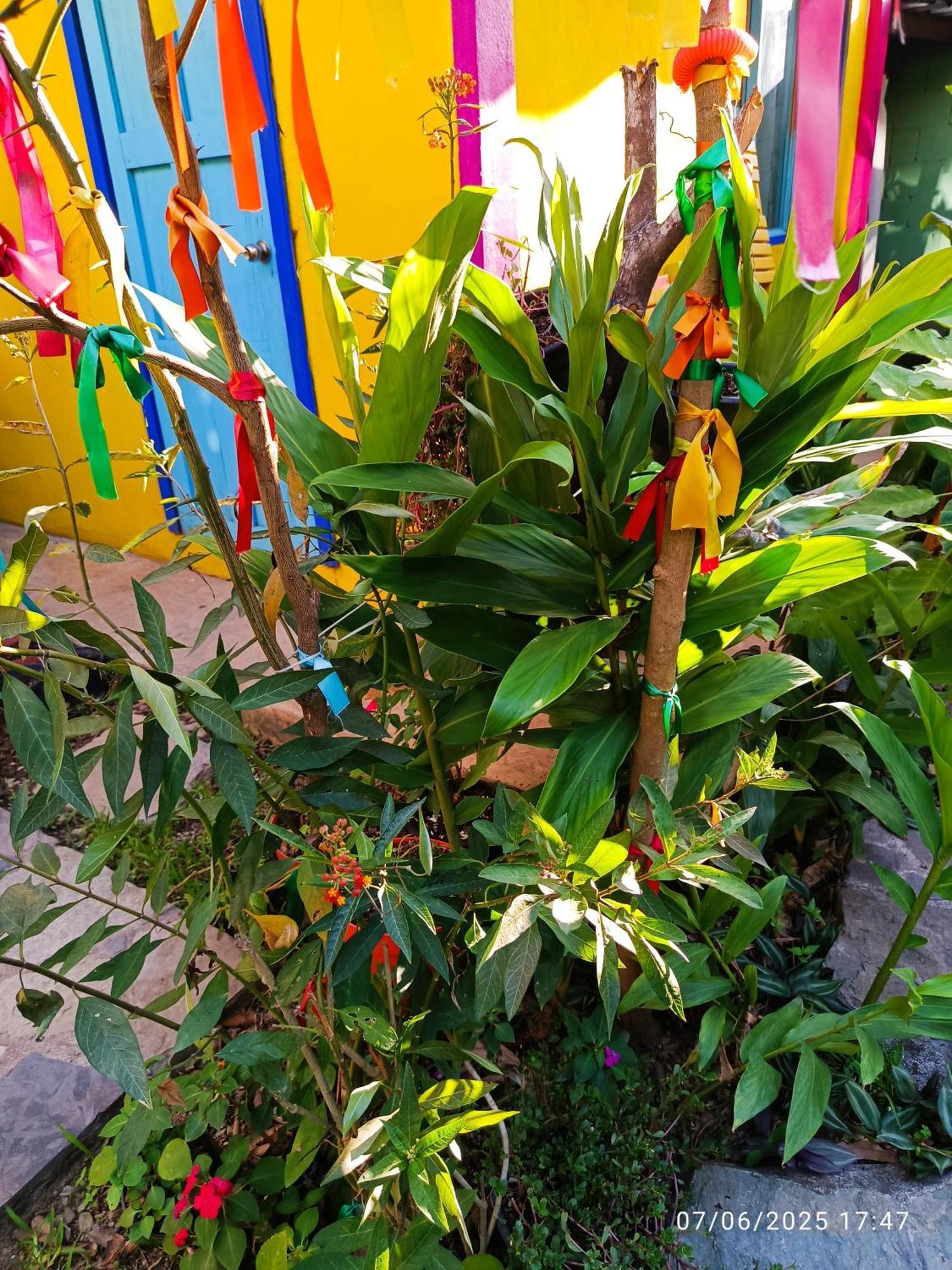 Jardin Huasteca 3*